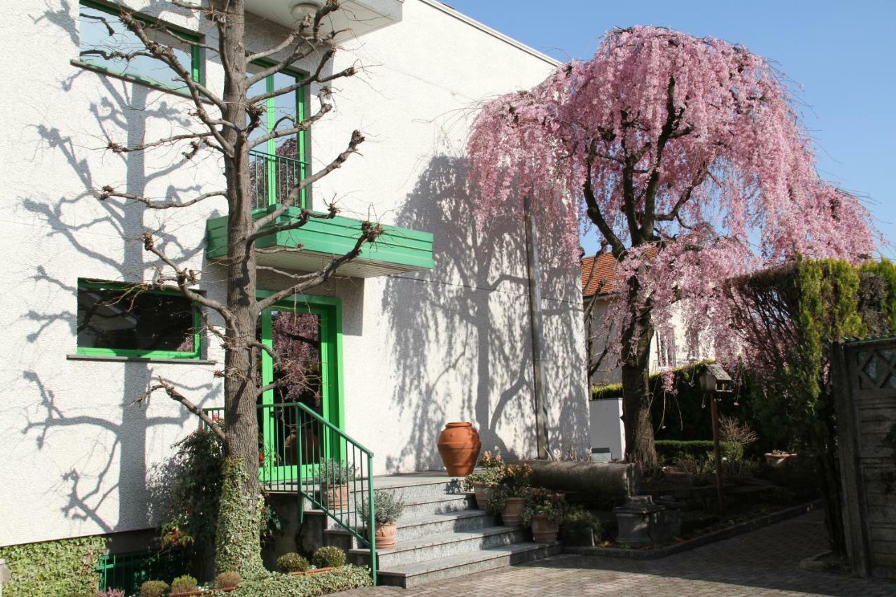 Albergo Nardini Lentate sul Seveso Extérieur photo